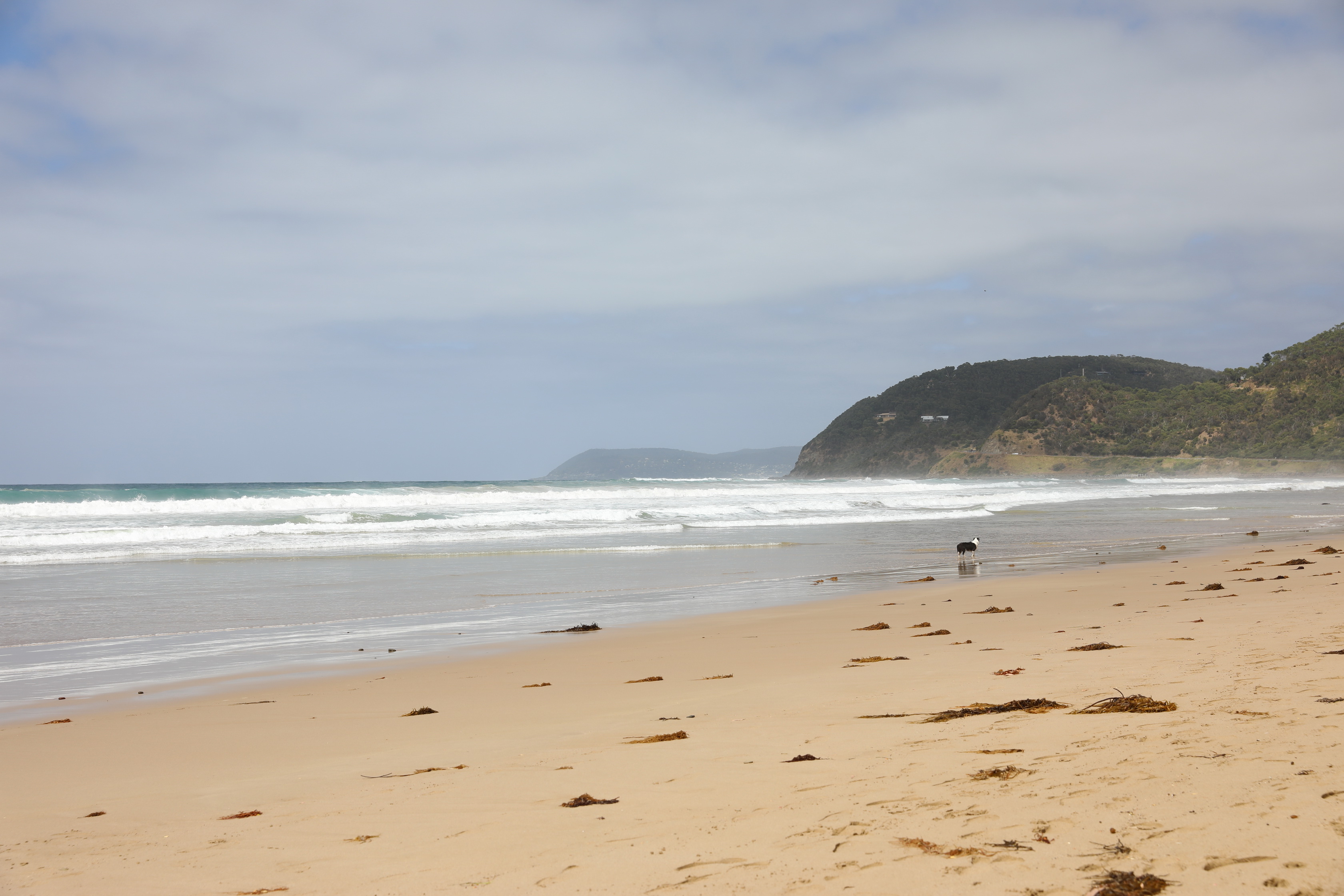 Beach at Eastern View